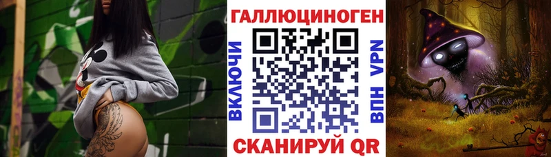 Галлюциногенные грибы Psilocybe Шуя