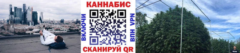 хочу   Шуя  ОМГ ОМГ ТОР  Каннабис OG Kush 